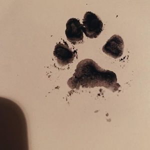 Meet your Posher, Lam